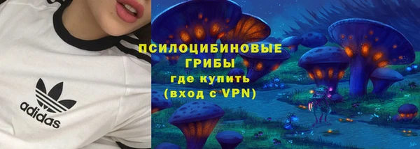 a pvp Новодвинск