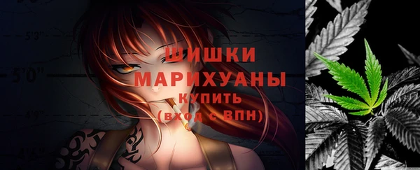 a pvp Новодвинск