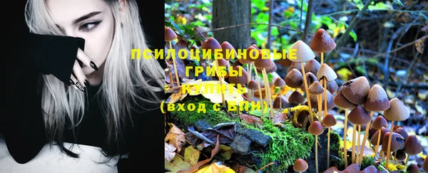 меф Няндома