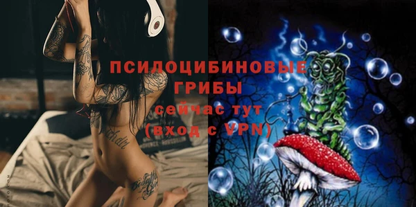 МДМА Новозыбков